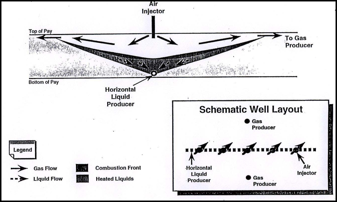 Schematic COSH Process Diagram